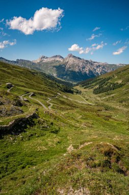 Splugen Pass Patikası boyunca Çiçek açan Alp Yaban Çiçekleri: Verdant Vadileri ve Clear Blue Sky tarafından çerçevelenen Pizzo Tambo ve Surettahorn Tepelerinin Manzarası. Yüksek kalite fotoğraf
