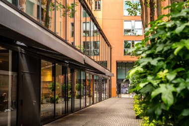 Modern Sokak Sahnesi Münih Merkezi: Sessiz bir şehir avlusunda cam cepheli ve yeşillikli çağdaş mimari. Yüksek kalite fotoğraf
