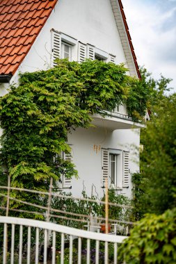 Beyaz Saray 'ın kırmızı kaplamalı çatısı ve yemyeşil lvy' nin balkondan tırmanması ve pencereleri kapatması. Yüksek kalite fotoğraf
