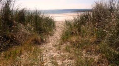 Güzel, beyaz kumlu bir sahile ulaşan kumlu bir yol. Yolun her iki tarafındaki otlar onu çok güzel yapıyor..