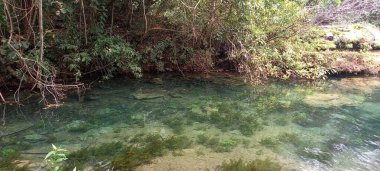 Çevresinde bitki örtüsü ve gölün dibinde su düzlükleri olan temiz zümrüt yeşili sularla dolu bir göl.