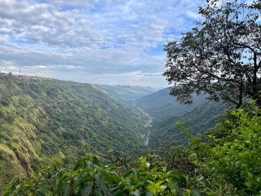 Sağda, içinden nehir akan dağ vadisi manzaralı bir ağaç var. 