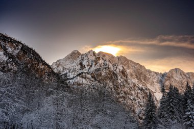 Karla kaplı ağaçlarla kaplı güzel kış manzarası