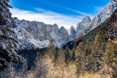 Kar, ağaçlar, dağ zirveleri ve dağlarla kaplı kış manzarası.
