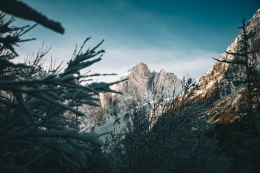 Dağların güzel manzarası