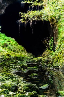 Güzel bir şelale görüntüsü.