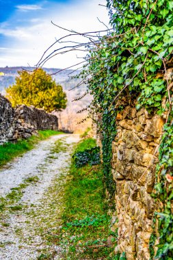 Dağlarda yeşil bitkilerle dolu eski taş bir duvar.