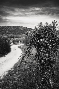 old country road in slovenia clipart