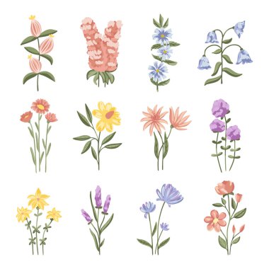 Çiçek demeti rengarenk yaz çiçekleri davetiye, tebrik kartı, poster, çerçeve, düğün, dekorasyon için.