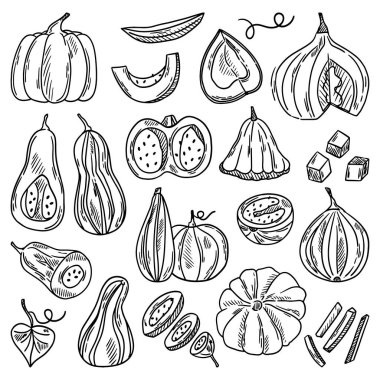 Kabak vektör seti. Balkabağı yaprakları, balkabağı dilimleri, yarımlar, küpler. Sonbahar mevsimi sebzeleri. Vektör illüstrasyonu