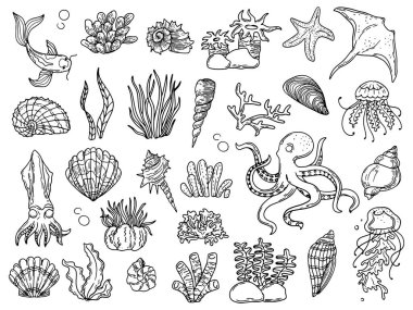 Bir dizi deniz hayatı. Su altında yaşayanlar, vatoz, denizanası, ahtapot. Deniz yosunları ve deniz kabukları. Vektör illüstrasyonu