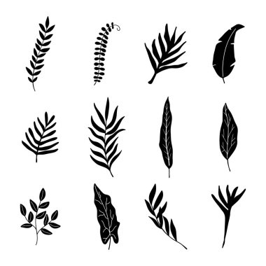 Beyaz arkaplanda izole edilmiş tropik palmiye yaprakları..