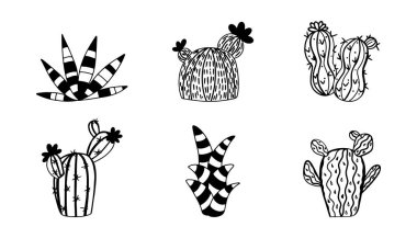 Kaktüs seti. Tasarım için izole elementler. El çizimi illüstrasyon.