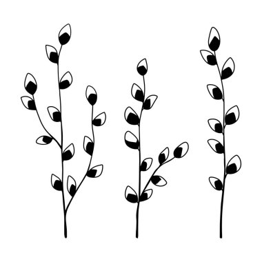 Yapraklı dallar, bahar çiçekleri. Kartlar, logolar, dekorasyonlar, davetiyeler, kozmetik tasarımlar için mükemmel..