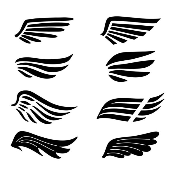 wings icon collection. illustration vector