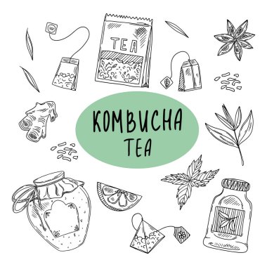 Kombu çayı ve kombu çayı eskizi için malzemeler. Kombu çayı içeceği. Çay mantarı, çay mantarı.