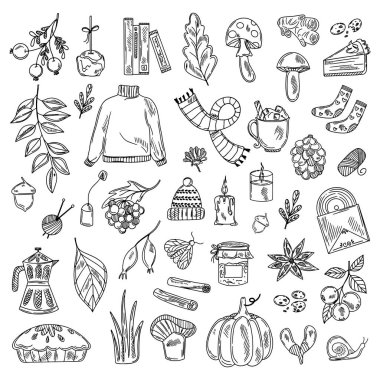 Sonbahar çizgi tasarım elementleri. Sonbahar, Şükran Günü, Balkabağı mevsimi. Vektör illüstrasyonu