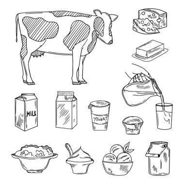 Vektör süt ürünü. Sketchyoğurt, süt, süzme peynir ve tereyağı, ekşi krema, camembert ve krema. Vektör çizimi. Retro biçimi.