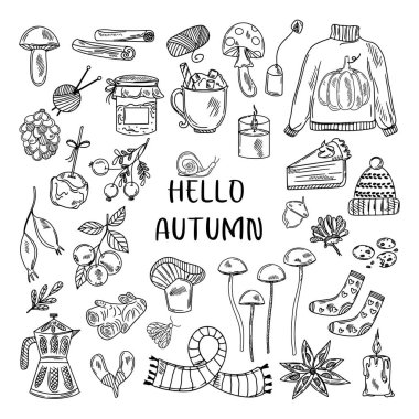 Sonbahar çizgi tasarım elementleri. Sonbahar, Şükran Günü, Balkabağı mevsimi. Vektör illüstrasyonu