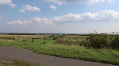 Hareket eden bir arabanın yan camından çimenli deniz kıyısına bak 