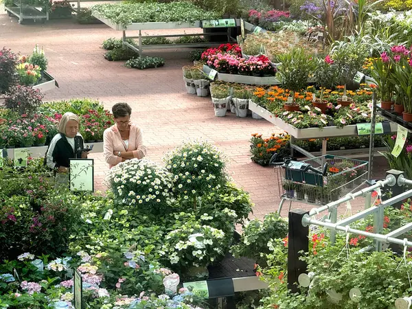 Çiçekçiden çiçek alan insanlar. Kopenhag, Danimarka - 5 Haziran 2025