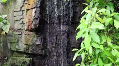 Ormanda küçük bir şelale