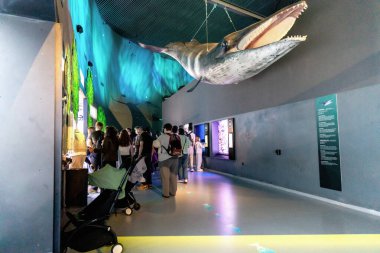 Kopenhag, Danimarka 'daki Mavi Gezegen Akvaryumu Ziyaretçileri - 26 Temmuz 2025