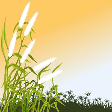 Bu sakin dijital illüstrasyon, rüzgarda hafifçe sallanan beyaz tüylü kedi derisi çiçeklerle bezenmiş bir tarlanın güzelliğini yakalar..