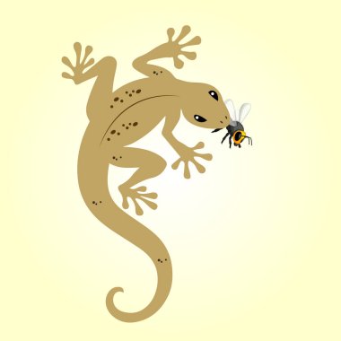 Bu dijital illüstrasyon ağzında bir sineği yakalayan bir kertenkeleyi resmediyor. Kertenkele, yapışkan ayak pedleriyle tanınan küçük, çevik bir sürüngendir. Duvarlara ve tavanlara zahmetsizce tırmanmasını sağlar..