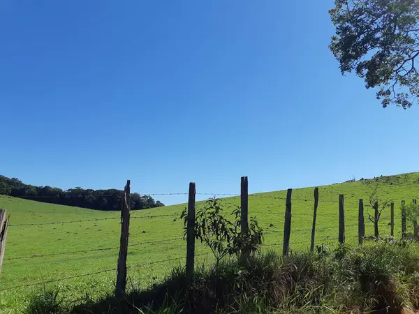 Güneşli bir günde çimenli bir dağ tarlası. Önünde çitler var.