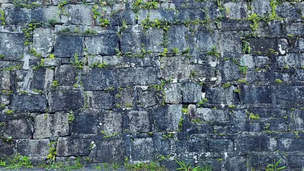 Yosun kaplı büyük gri taşlardan duvar ve çitler.