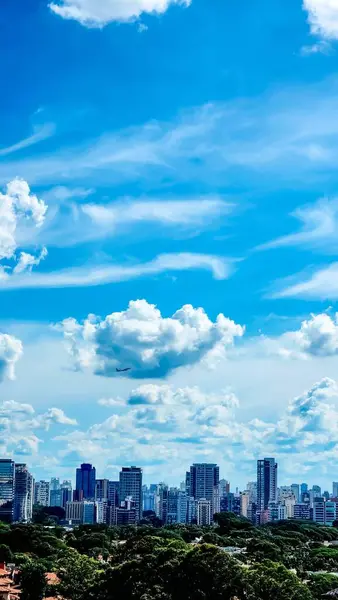Sao Paulo gökyüzü ve binaları ve mavi gökyüzü. Arka planda bir uçak kalkıyor.