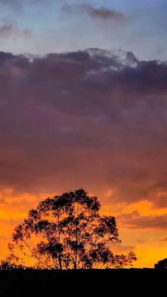 Turuncu, pembe ve mor renkleri olan canlı bir günbatımı gökyüzüne karşı silueti olan nefes kesici bir görüntü. Sahne, alacakaranlığın dingin güzelliğini ve gelişen renklerini yakalar..