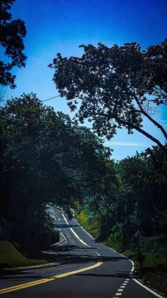 Kıvrımlı, mavi gökyüzünün altında yeşil ağaçlarla çevrili bir yol resmi. Güneş ışığı yolu aydınlatır. Huzur ve macera sahnesi yaratır..