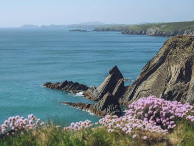 Galler 'deki Pembrokeshire Kıyı Yolu' ndan St. David 'e bakıyor.