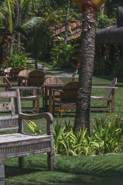 Gündüz vakti tropikal bir parkta ahşap bir bankın güzel bir görüntüsü.