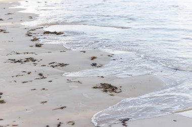 Brezilya 'nın kuzeydoğu denizinde dalgalar ve kumlarla dolu bir kumsal.