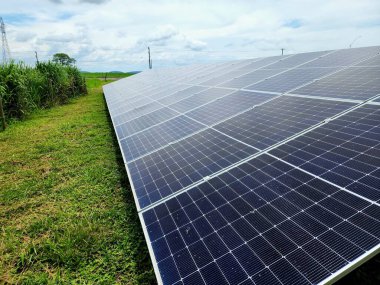 Yenilenebilir enerji üreten güneş panelleri alanı