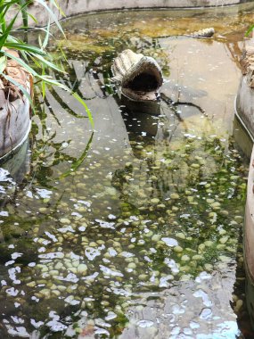Açık hava dinlenme ve dinlenme çiftliği, göller ve yeşil alanlar.