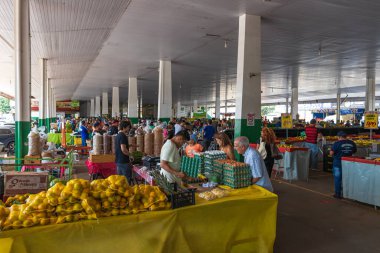 Brezilya 'nın Braslia kentindeki CEASA' da gıda ve ürün fuarı.