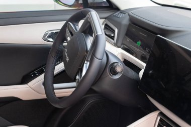 BYD elektrikli araç ekranda