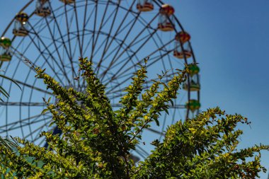 Mavi gökyüzünün arka planında dönme dolap