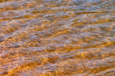Altın dalgalı su arkaplanı