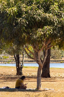 Park çimenliğinde cep telefonuyla rahatlayan kişi