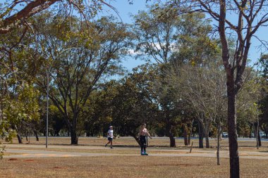 Brezilya 'da bir parkta paten kaymak