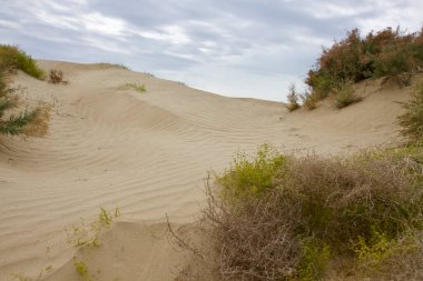 Karaozek 'e, Balkhash Gölü' ne. Kazakistan. Yüksek kalite fotoğraf