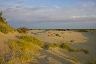Karaozek 'e, Balkhash Gölü' ne. Kazakistan. Yüksek kalite fotoğraf