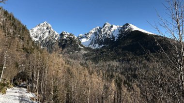 Kışın tamamen ormanla kaplı bir sıradağ manzarası.