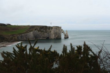 Uçurumun engebeli yamacı bulutlu bir gökyüzünün altında denizle buluşuyor, yukarıda süzülen yalnız bir martı ve ön planda keskin yeşil çalılar var.