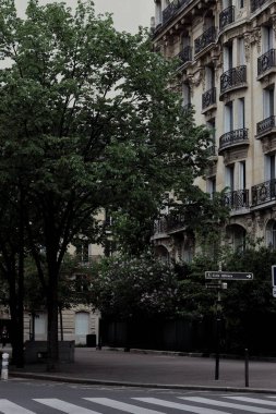 Canlı yaz yeşilliğinin arka planına karşı kurulan klasik bir binanın çarpıcı görüntüsü. Yapının yemyeşil çimenlik ve olgun ağaçlarla yan yana gelmesi ahenkli bir ahenk yaratır.